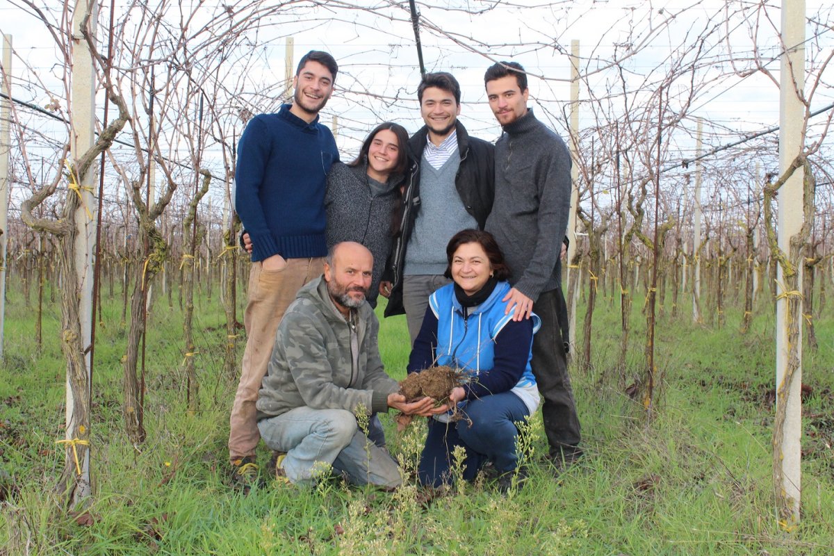 The Archetype of the Dibenedetto Family: the harmony of “less is more” as the art of wine production
